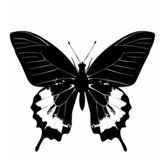 Illustration of a butterfly using black ink with a simple concept and high contrast.