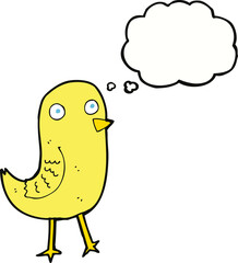 funny cartoon bird with thought bubble