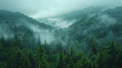 Foto op Plexiglas Misty foggy mountain landscape with fir forest and copyspace in vintage retro hipster style. © Matthew