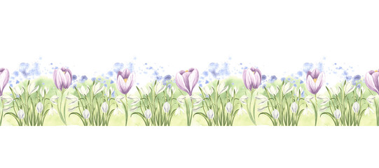 Seamless border of violet crocuses and white snowdrops. Hand drawn watercolor illustration spring blossom primroses. Template banner for fabric, wallpaper, scrapbooking, wrapping, textile, embroidery.