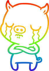 rainbow gradient line drawing cartoon pig crying