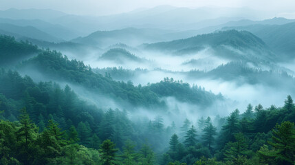 Misty summer mountain hills landscape. Filtered image:cross processed vintage effect.