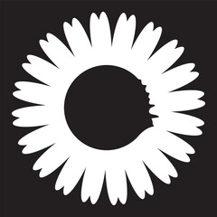 Sunny daisy flowers isolated on black background.   Vector file illustration.