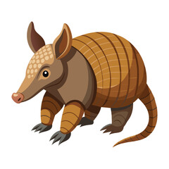 Armadillo illustration on White Background