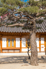 Seoul City - South Korea