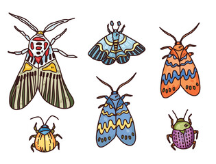 vector set of insect