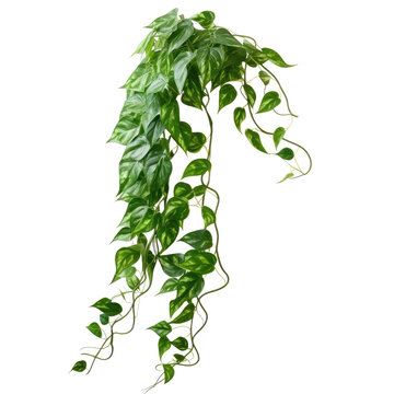ferm living plant box container Ferm Living - Plant Box main image 0
