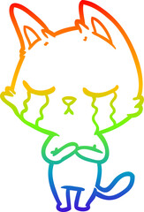 rainbow gradient line drawing crying cartoon cat