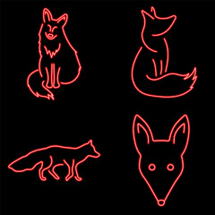fox neon icon group, vector illustration on black background.