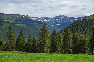 Fototapeta na wymiar Rodnei Mountains National Park, Romania, Romanian Carpathian Mountains, Europe.
