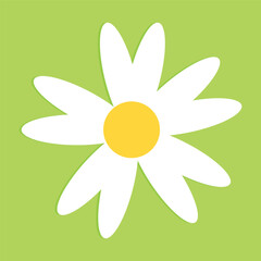 Cartoon daisy logo designs, chamomile flower icons. Flat spring floral elements. Blossom flowers with white petals. Doodle daisy vector set with background.