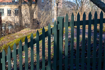 Wooden fence in the nature