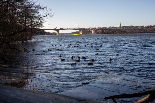 Sweden river bridge in winter with ducks