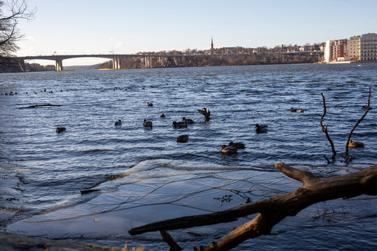 Stockholm river in winter