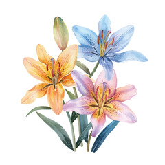 cute lilies vector illustration in watercolour style