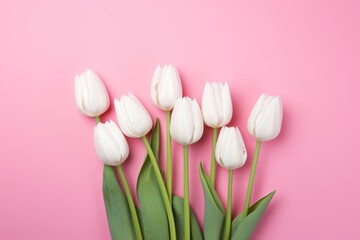 beautiful spring bouquet of white tulips flowers on pink background top view