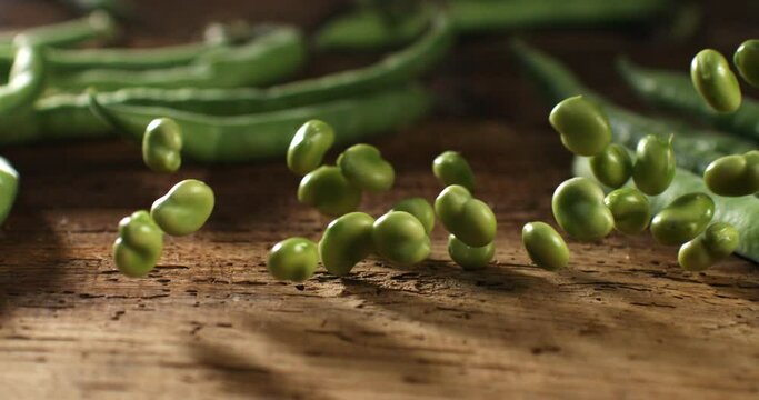 Super slow motion close up of fresh raw organic vegetable garden unshelled fava broad beans are falling for quality control on rustic wooden table in rural agriculture farmland at 1000 fps.