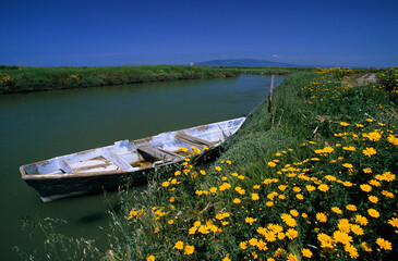 Canals in the Pontis fishpond. Cabras. Oristano. Sardinia. Italy. - obrazy, fototapety, plakaty
