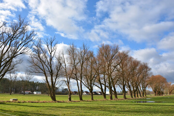 Landschaft bei Brielow im Havelland