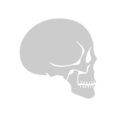 human bone icon set  element