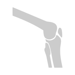 human bone icon set  element