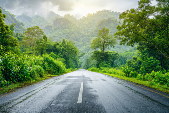 Asphalt road and green forest with mountain nature landscape.