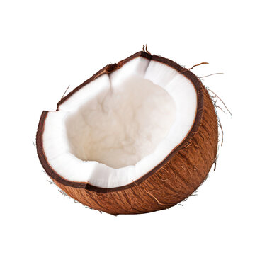 Coconut isolated on transparent background, transparency image, removed background