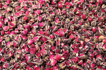 Dry roses for herbal tea, red flowers for background