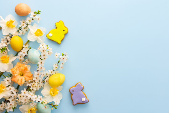 Festive background with spring flowers and naturally colored eggs and Easter bunnies, white daffodils and cherry blossom branches on a blue pastel background