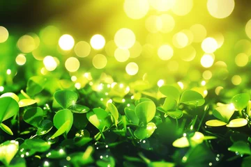 Schilderijen op glas A captivating image showcasing a lush field of green clover leaves bathed in the enchanting glow of golden bokeh lights, evoking a sense of magic and wonder in the beauty of nature. © mediaceh