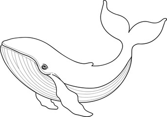 Obraz premium Whale Outline