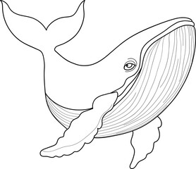 Whale Outline