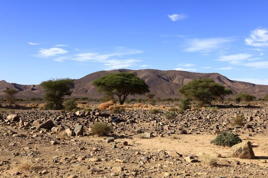 View on a mountain in the Haut Atlas Oriental National Park located in Morocco.