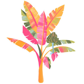 Bananeira Ilustra&ccedil;&atilde;o, banana, tropical, fruta, &aacute;rvore, natureza, alimento, saud&aacute;vel, nordeste, estampa, r&oacute;tulo, embalagem