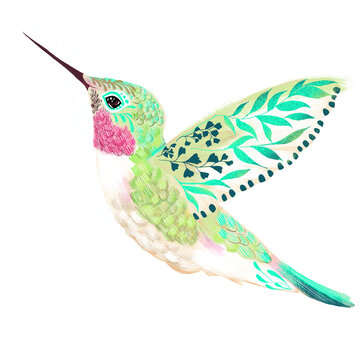 Beija Flor, p&aacute;ssaro, ave, animal, ilustra&ccedil;&atilde;o, natureza, tropical, ver&atilde;o, fauna, esperan&ccedil;a, floresta, beleza, leveza, tranquilidade, harmonia, capa, poster, banner