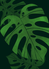 Monstera leaf wallpaper poster