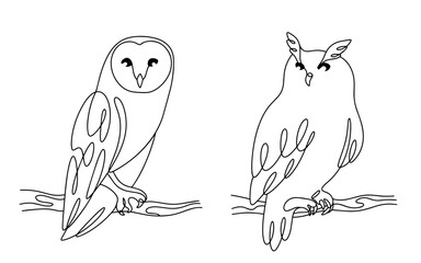 Owl on a branch. Line