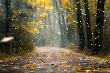  A picturesque scene of a mid-yellow autumn forest path, with leaves falling like rain, providing a tranquil background with ample copy space © Aaron Gallery  
