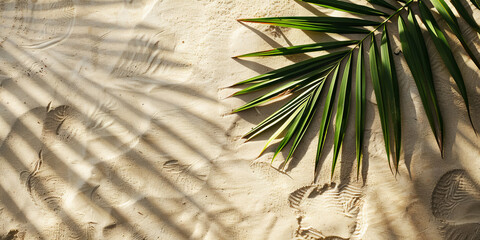 Delicate shadow of a palm leaf dances across the warm, sunlit sand