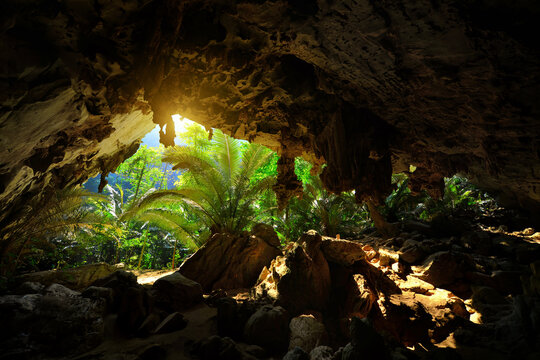 "Hup pa tat" a large limestone cave with its ancient forest such as walking into dinosaur era.This is an unique nature tourist attraction in Thailand. Shooting againt the sun in the morning. 