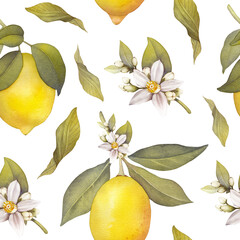 Lemon watercolor citrus yellow summer green leaves sour sea fruit food healthy natural juicy orange raw antioxidant symbol beauty print poster card postcard fresh diet beautiful hand drawn element art