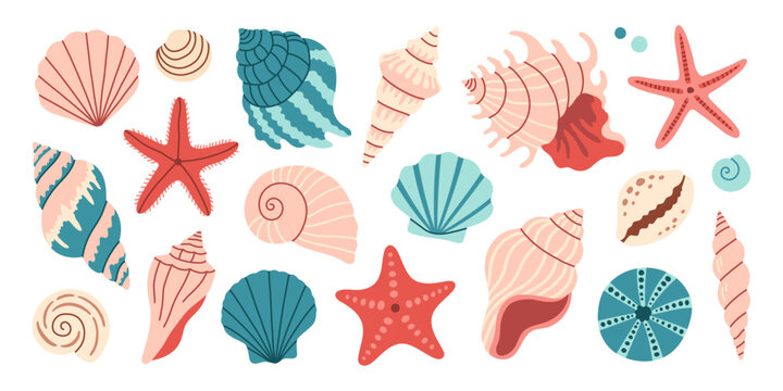 Sea shells set, mollusks, starfish. Trendy flat illustration of seashells collection isolated on white for stickers.