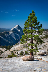 Beautiful alpine landscape along the picturesque Tioga Pass, California, USA,