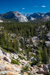 Beautiful alpine landscape along the picturesque Tioga Pass, California, USA,