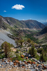 Beautiful alpine landscape along the picturesque Tioga Pass, California, USA,