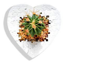 Heart-Shaped Puzzle with Cactus on White Background
