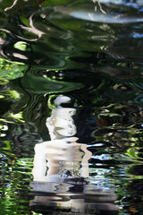 Rippled reflection on the surface of water of a nearby Buddha statue.