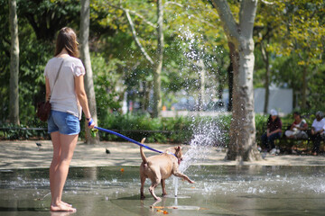 Barefoot girl with a dog near the fountain in the park, view from the back. Focus on the dog