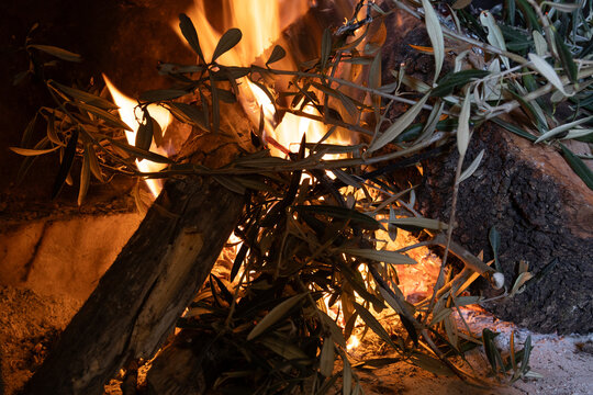 Ramas ardiendo en fuego vivo,  fogata de hojas de olivo