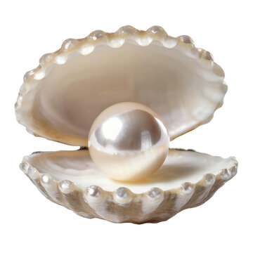 Round pearl nestled within an open shell, isolated on transparent background